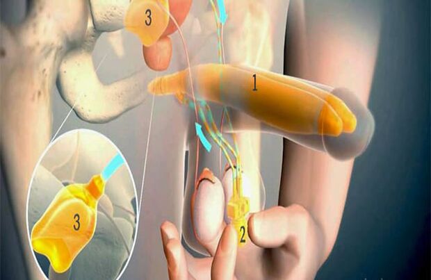 Operacja lipofilowania